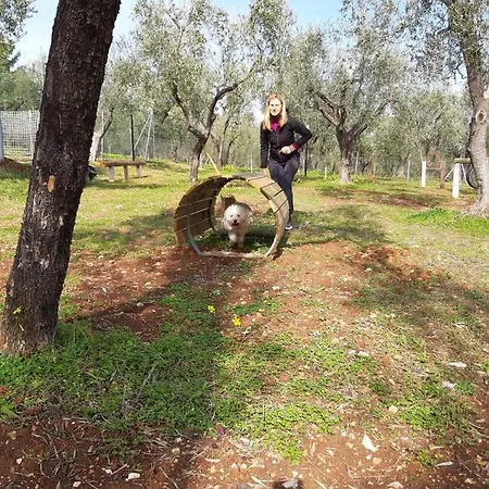 San Luca Casa vacanze Vieste